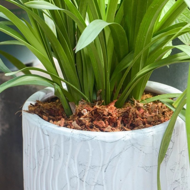 Kokosvezelblok met biologische - Substrate Coconut Fiber recensie en prijs