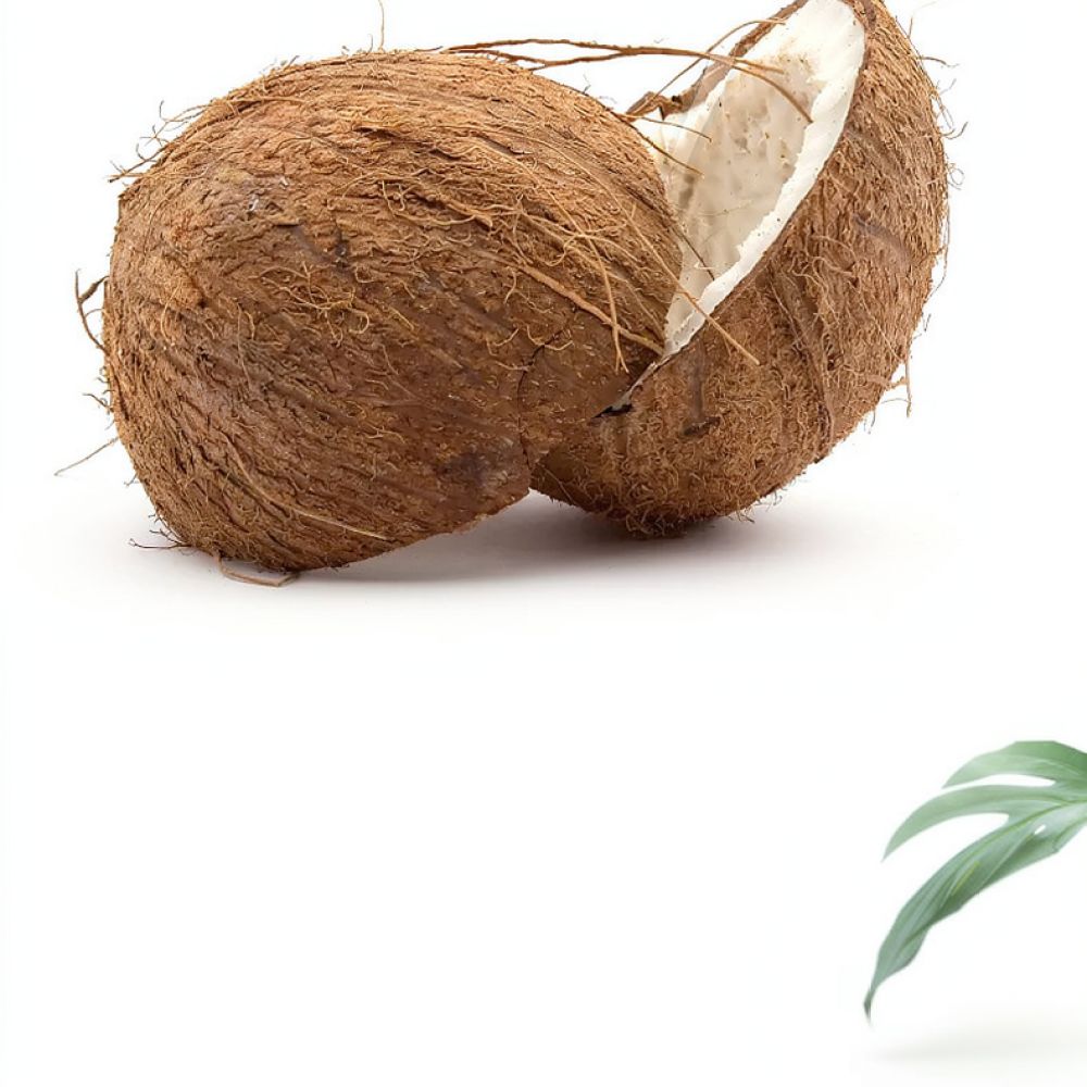 Premium gedroogde kokosvezelbl - Substrate Coconut Fiber recensie en prijs